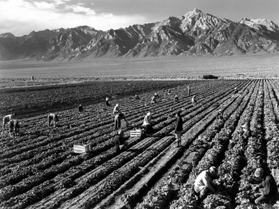 Farm workers at Manzanar War Relocation Center with Mt. Williamson in the background.